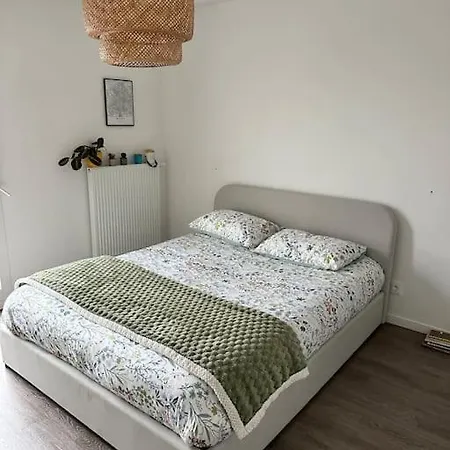 Location Chambre Lumineuse Rouen